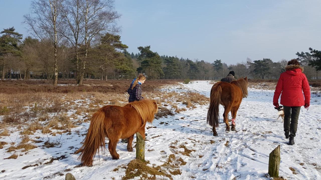 Chalet Op De Veluwe # Linde Пюттен Экстерьер фото